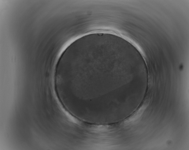 X0000101091533200807031714