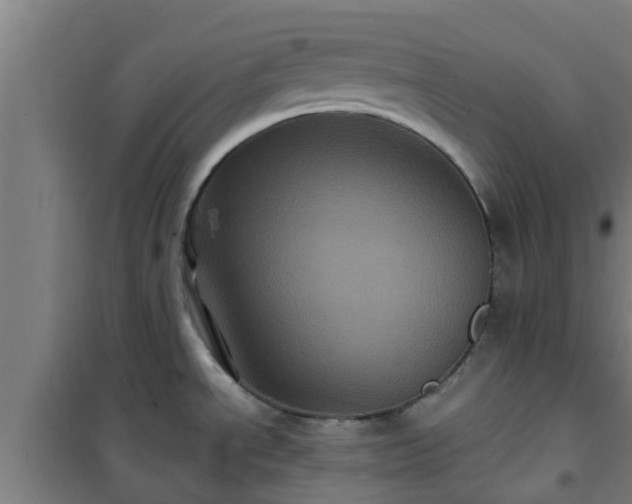 X0000101091534200807031714