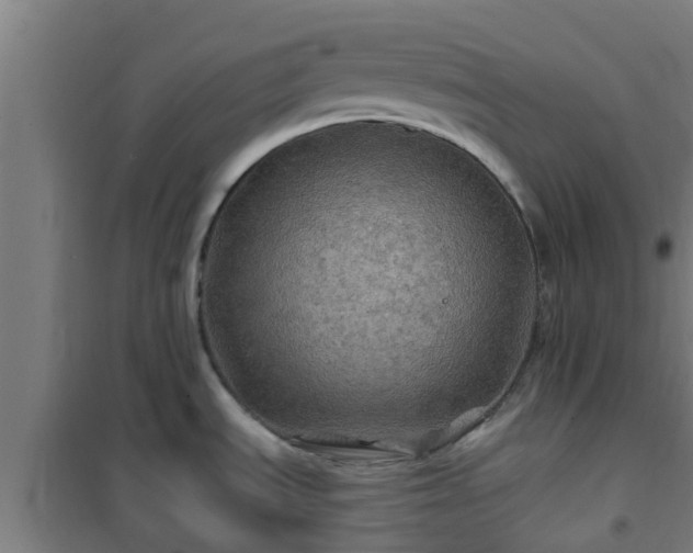 X0000101091535200807031714