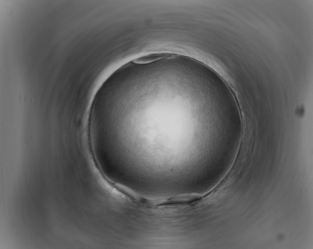 X0000101091536200807031714