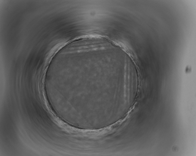 X0000101090001200807101600