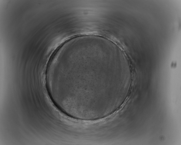 X0000101090002200807101600