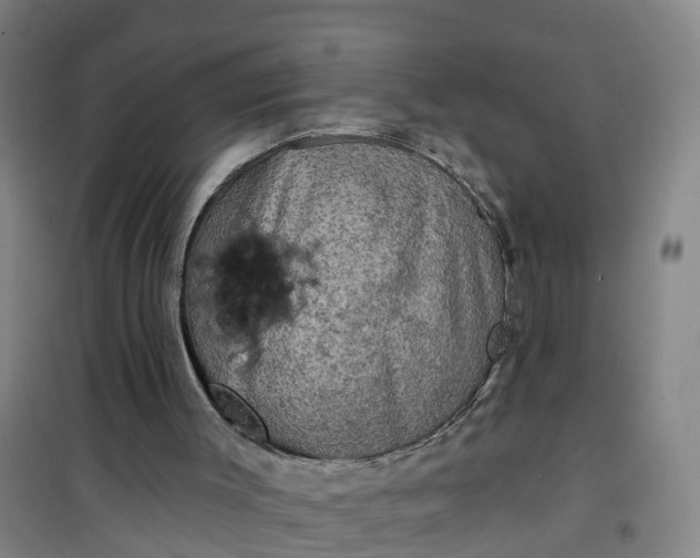 X0000101090003200807101600