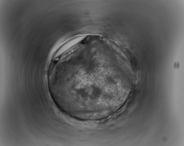 X0000101090004200807101600