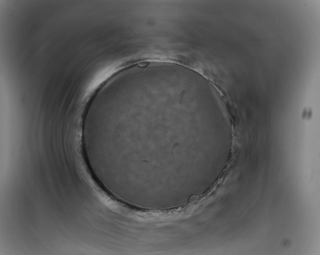 X0000101090005200807101600