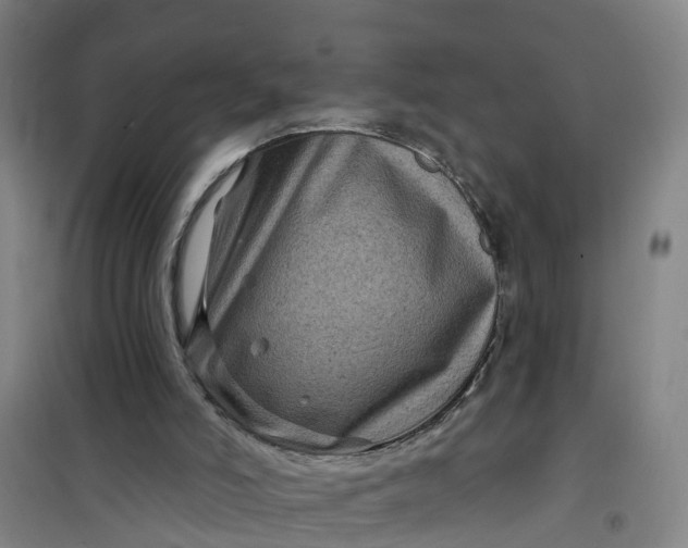 X0000101090006200807101600