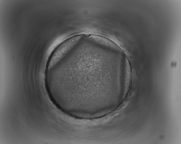 X0000101090007200807101600