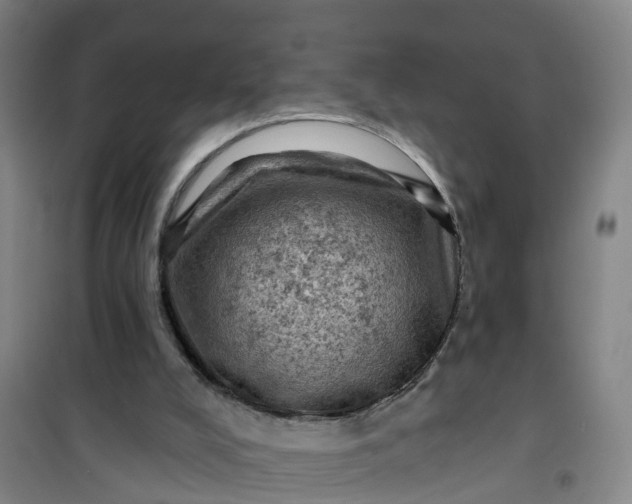 X0000101090008200807101600