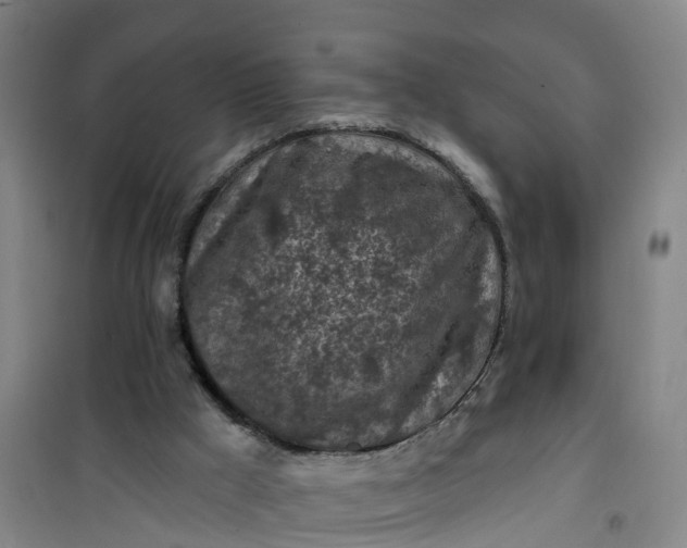 X0000101090009200807101559