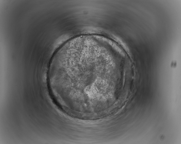 X0000101090010200807101559