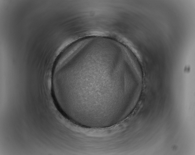 X0000101090011200807101559