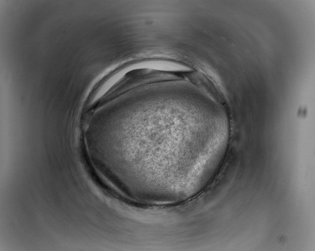 X0000101090012200807101559