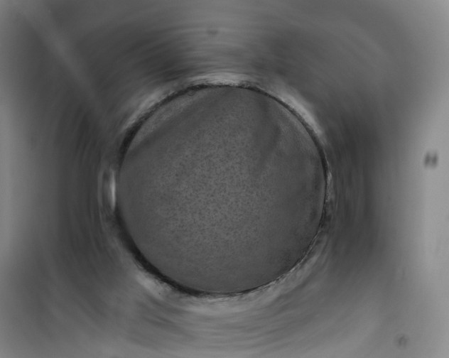 X0000101090013200807101559