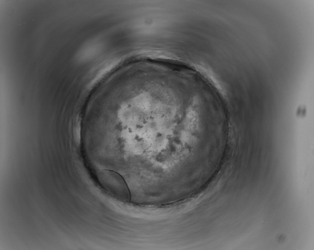 X0000101090014200807101559