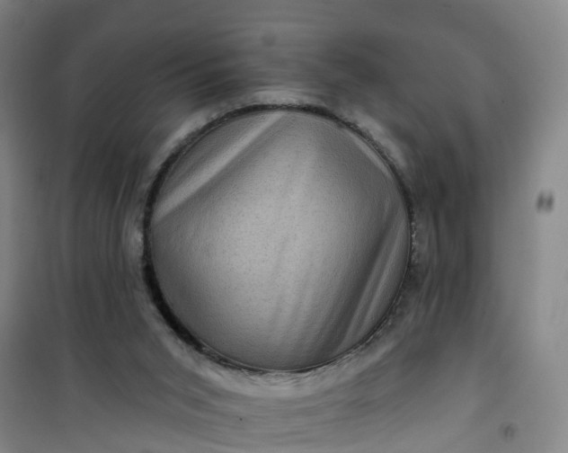 X0000101090015200807101559