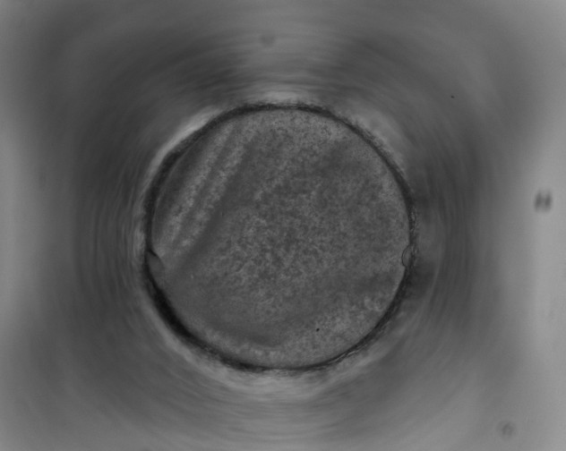 X0000101090016200807101559