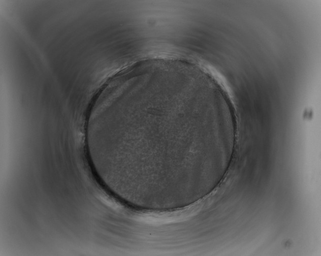 X0000101090017200807101559