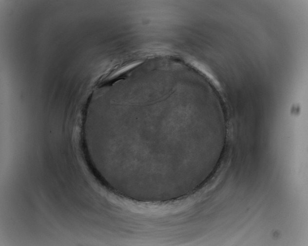 X0000101090018200807101559