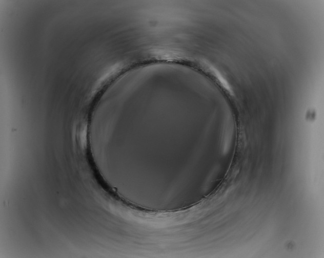 X0000101090019200807101559