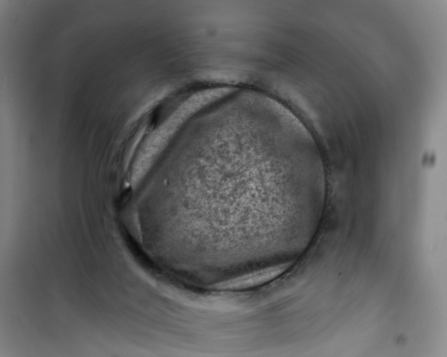 X0000101090020200807101559