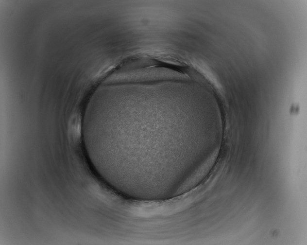 X0000101090021200807101559