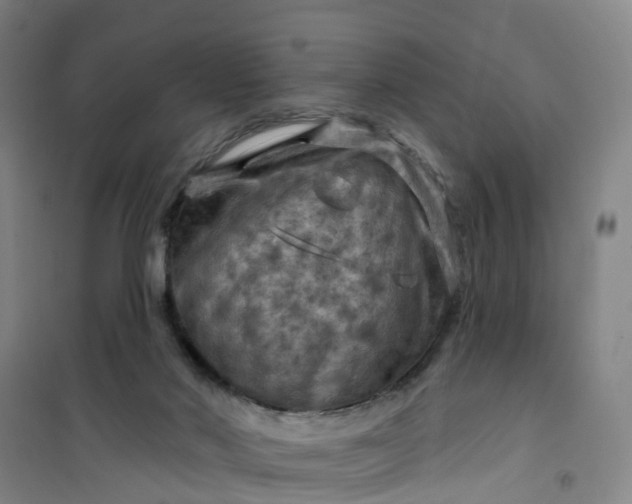 X0000101090022200807101559