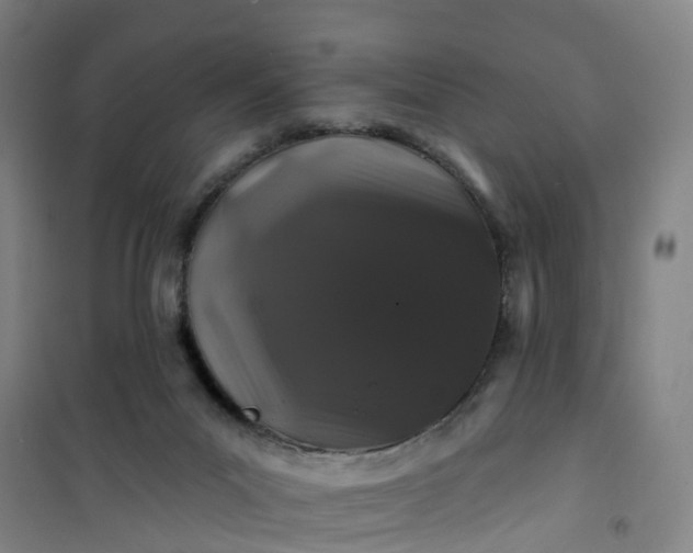 X0000101090023200807101559