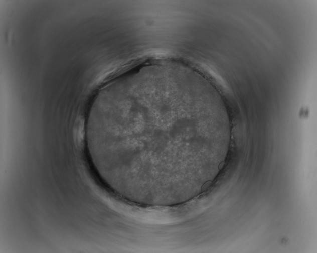 X0000101090024200807101559