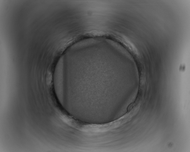 X0000101090025200807101559