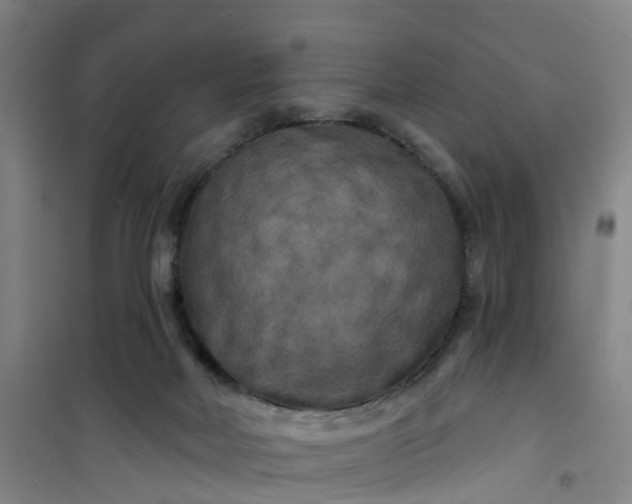 X0000101090026200807101559