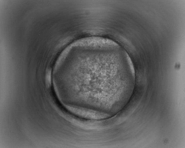 X0000101090028200807101559