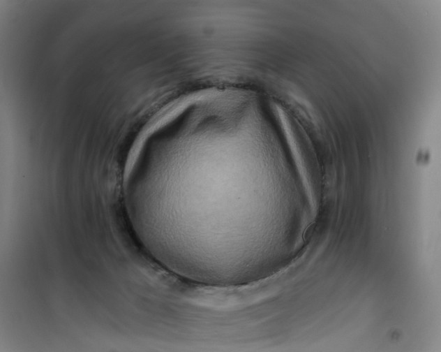 X0000101090029200807101559