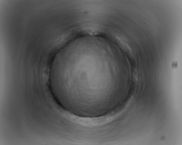 X0000101090030200807101559