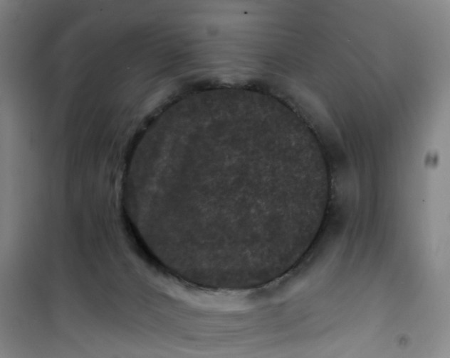 X0000101090032200807101559