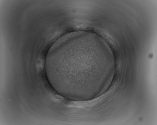 X0000101090033200807101559