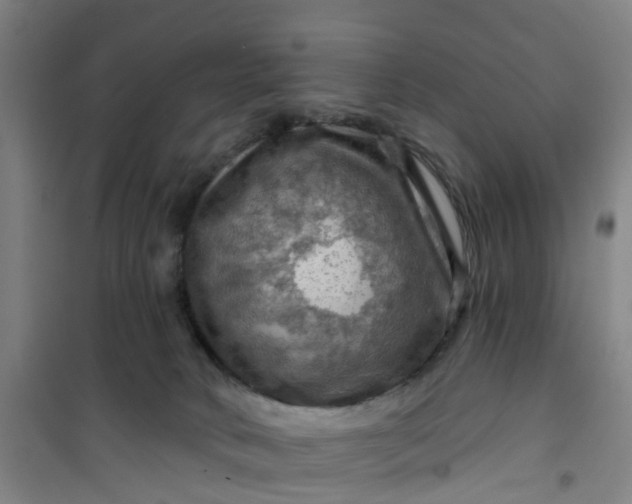 X0000101090034200807101559