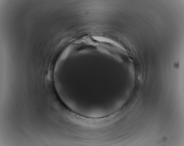 X0000101090035200807101559