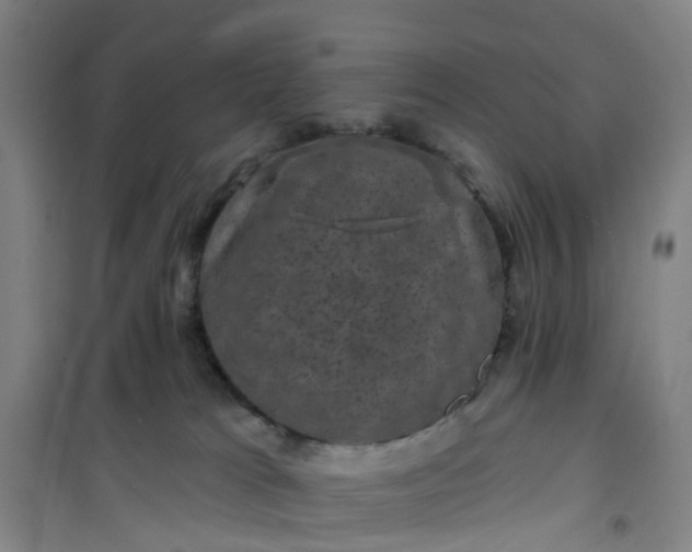 X0000101090037200807101559