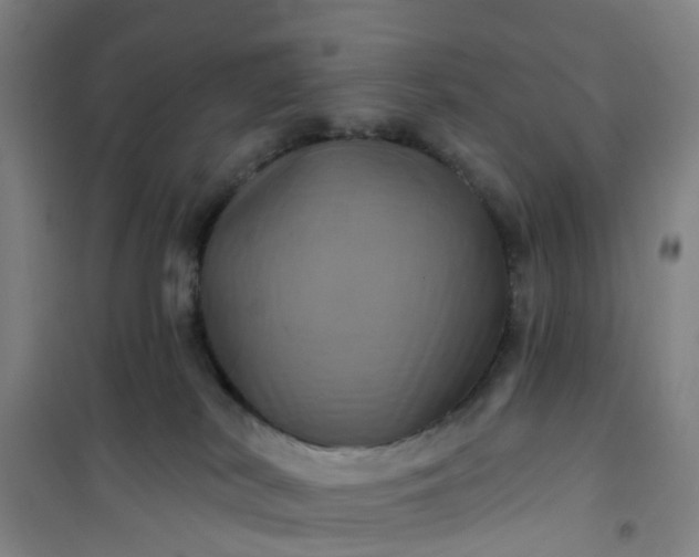 X0000101090038200807101559