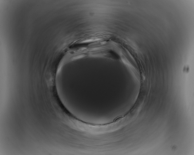 X0000101090039200807101559