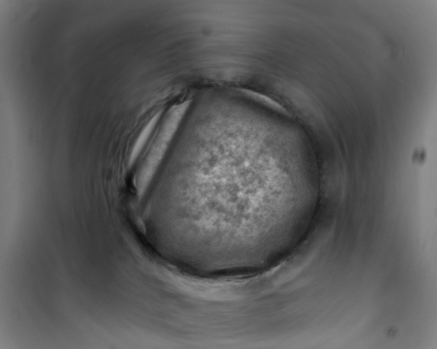 X0000101090040200807101559