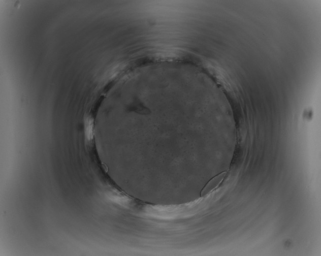 X0000101090041200807101559