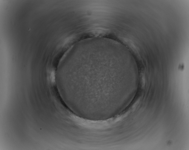 X0000101090042200807101559