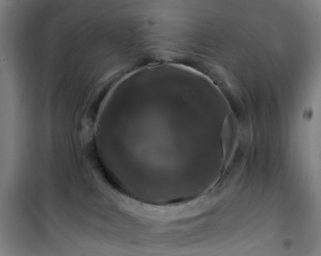 X0000101090043200807101559