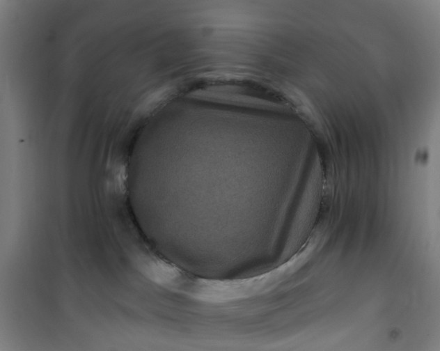 X0000101090045200807101559