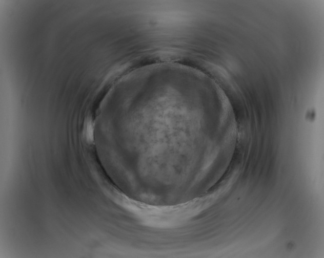 X0000101090046200807101559