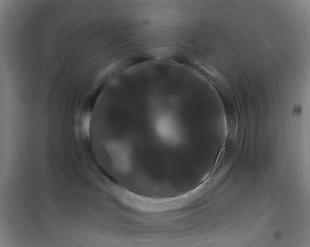 X0000101090047200807101559