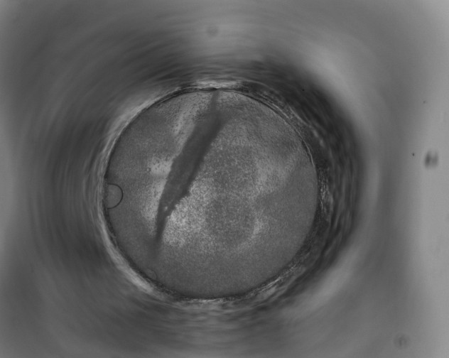 X0000101090049200807101558