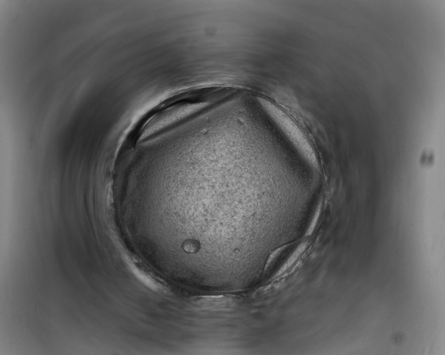 X0000101090050200807101558