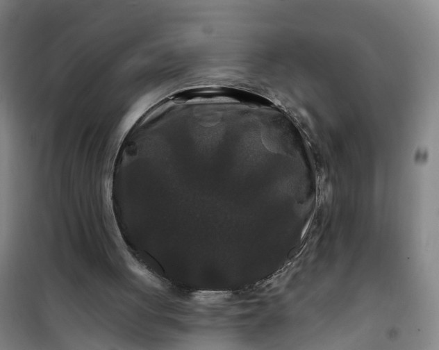 X0000101090051200807101558